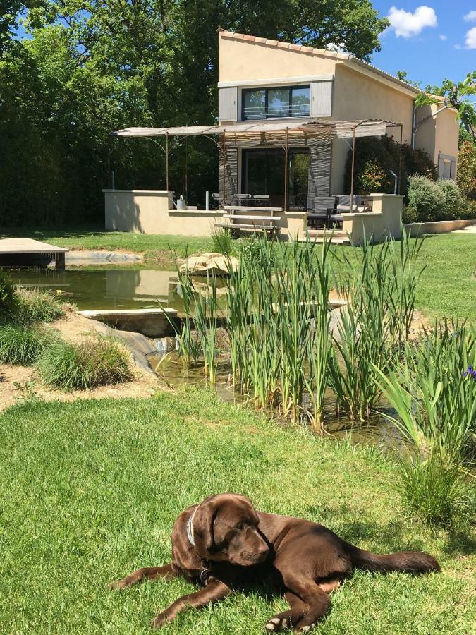 L'Ancien Poulailler- The Old Hen House Villa Saint-Saturnin-d'Apt Buitenkant foto
